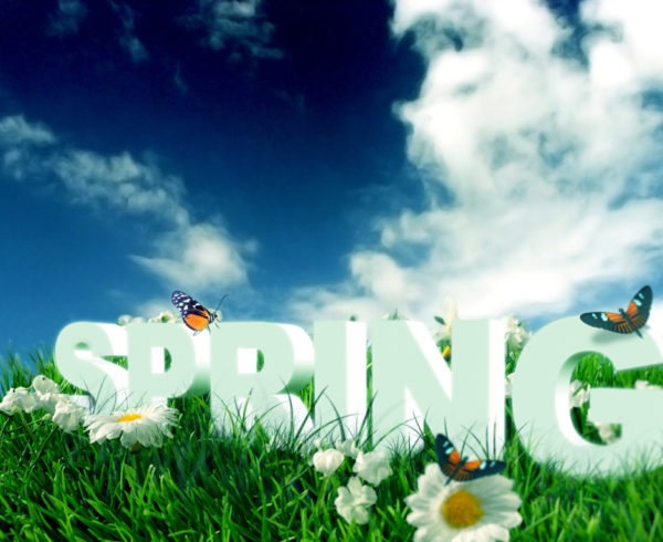 Spring is a Season of Change